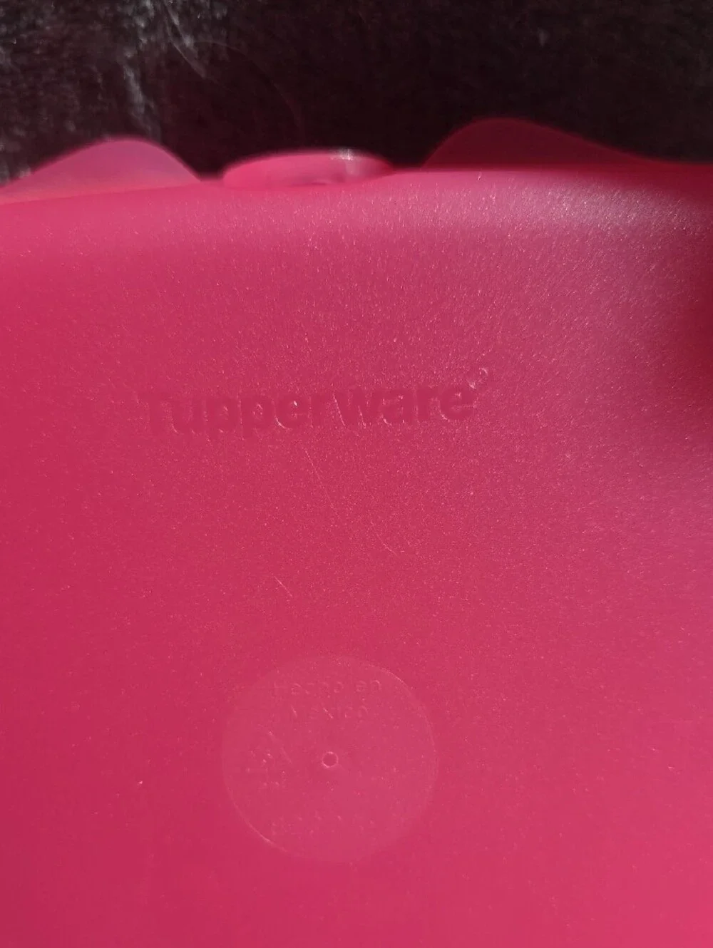 Tupperware Kids Mermaid Sandwich Keeper